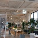 목천농장 | 말복에 찾은 천안 토종닭 맛집 (꼭끼요) / 후식으로 근처 썬라이즈 카페 추천