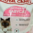 광화문동물병원 이미지