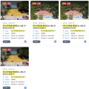 댕댕이루 | 마포반려동물캠핑장 댕댕이물놀이장 후기｜2만원으로 즐긴 여름 피서 (w.반려견&amp;친구들)