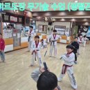 미르태권도 2관 Daum카페