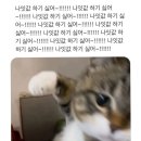 도토리김밥나라 | 1月) 나이값 하기 싫어~나이값 하기 싫어~나이값 하기 싫어~나이값 하기 싫어~나이값 하기 싫어~