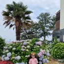 학동리조트펜션 이미지