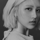 없음 이미지