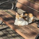 느린오후 이미지