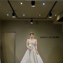 J-053 | [wedding #02] 대구 '모니카블랑쉬' 비즈 드레스 피팅 후기 (피팅비·당일계약·견적공유)