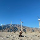 별밤농장 이미지