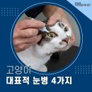 북부동물병원 이미지