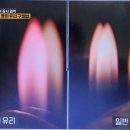 로이마케팅