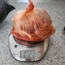 후한집 | [함안 여행] 인심 후한 함안 가야 5일장 방문 후기! 주차팁부터 먹거리까지