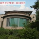 판문동4 이미지