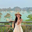 모닝마트호암점 | 베트남 하노이 하롱베이 여행 하노이 자유여행 투어 크루즈 코스 경비 비용