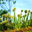 수원시 농업기술센터 농기계 임대사업소 이미지