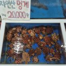 아재 수산 | 감포 수협활어직판장 회포장추천 형제수산 / 가성비 좋은 세트메뉴