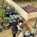 새순농장 | 서울 플랜트샵 | 망원 움튼, 랜선 투어 | 3월 첫째 주