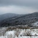 안성면102 이미지