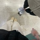 대영스포렉스 이미지