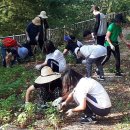 명신초교 이미지