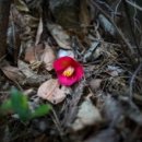 동백섬민박 이미지