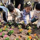 송동근린공원 이미지