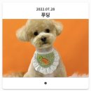 밍그루밍 이미지