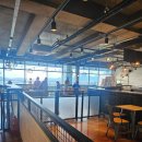 러브독애견카페 | 아이가 좋아하는 창원 애견카페 러브앤독