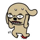 함흥곰보냉면 이미지