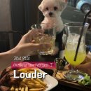 강남 역삼 애견동반 술집 추천 | 분위기 좋은 칵테일바 Louder 방문후기