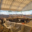 백제학연구소 이미지