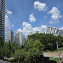 7월 2주 대전·세종 아파트값 상승... 충남은 하락 전환 이미지