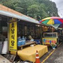 울진 성류굴 산채비빔밥 맛집 추천┃&#34;호남식당&#34; 내돈내산 솔직후기