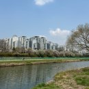 황새울공원 내 이미지