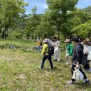 포시즌 봄 이미지