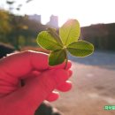 행운노래방 이미지