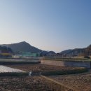 송학강변로 이미지