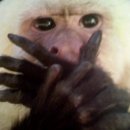 미담맛을논하다 이미지