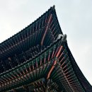 향원정 | [서울/종로] 경복궁 건청궁, 향원정 특별관람 후기(사전예약 성공)
