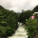 뮤지엄 스테이 이미지