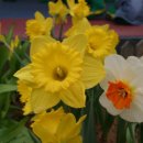 청아유치원 이미지