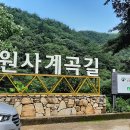 지리산 대원사계곡길 이미지