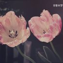 상봉요양원요양센터 이미지