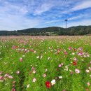 꽃단지 화장실 이미지