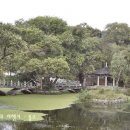 대산면920 이미지