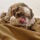 눈코입