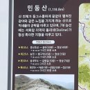 민둥산/제2코스 발구덕 출발/민둥산 최단코스/ 등산초보 여름 등산/최고 가성비 등산