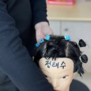 개미용중 이미지