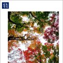 돌산공원 정상 이미지