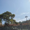 노은서로 | [대전 노은동] 더 노은로 (feat.내돈내산 대전 유성에서 느끼는 제주도 갬성 카페 방문 솔직 후기)