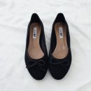 보니따또 이미지