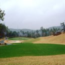 코스카cc 이미지