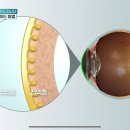 안구건강관리법 메모 이미지